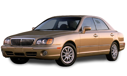 2D коврики EVA в салон на Hyundai XG I (1998-2005)