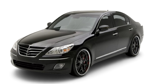 2D коврики EVA в салон на Hyundai Genesis I (2008-2013)