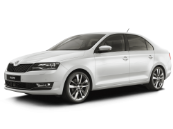 2D коврики EVA в салон и багажник  на Skoda Rapid I (2012-2020)