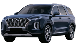 3D коврики EVA с бортами в салон  на Hyundai Palisade (2018-н.в.)